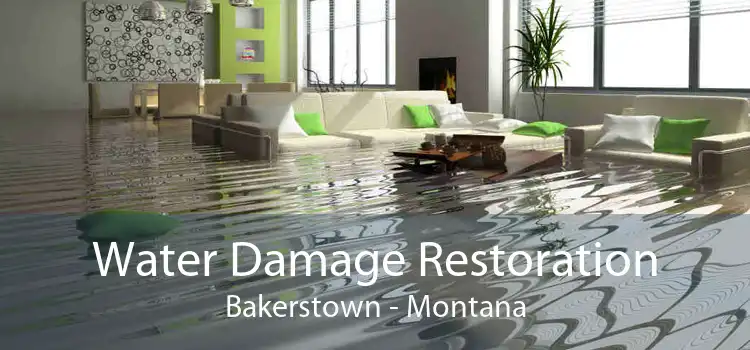 Water Damage Restoration Bakerstown - Montana