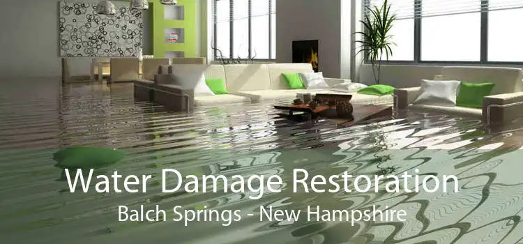 Water Damage Restoration Balch Springs - New Hampshire
