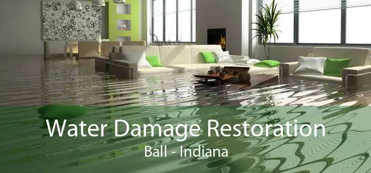 Water Damage Restoration Ball - Indiana