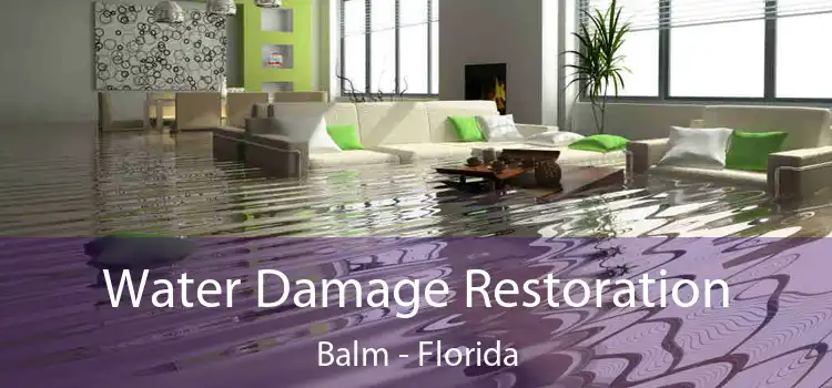 Water Damage Restoration Balm - Florida