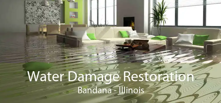 Water Damage Restoration Bandana - Illinois
