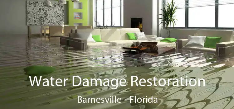 Water Damage Restoration Barnesville - Florida