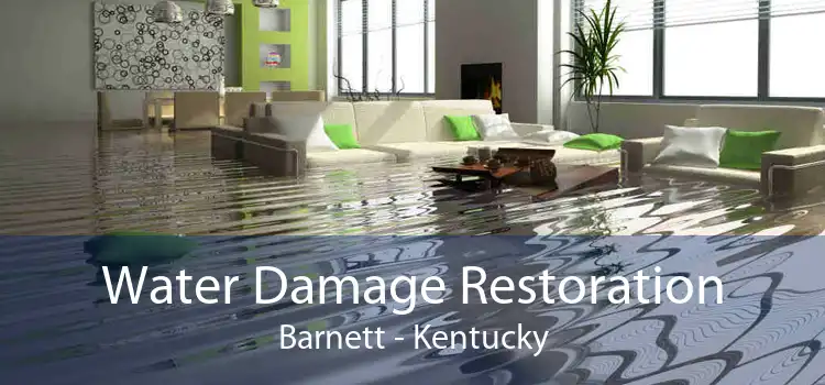 Water Damage Restoration Barnett - Kentucky