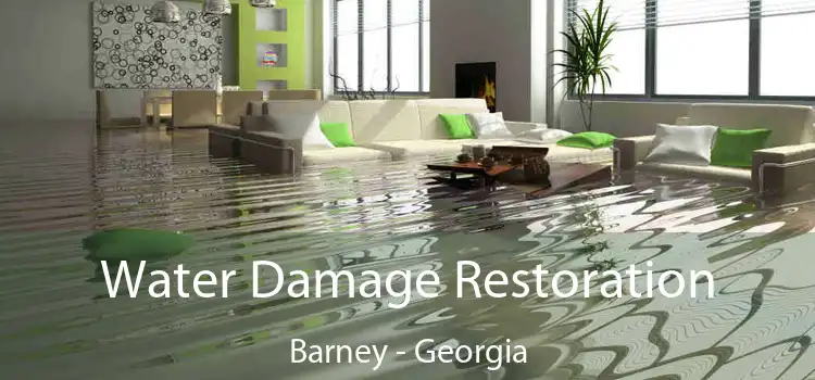 Water Damage Restoration Barney - Georgia