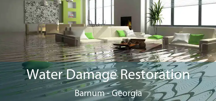 Water Damage Restoration Barnum - Georgia