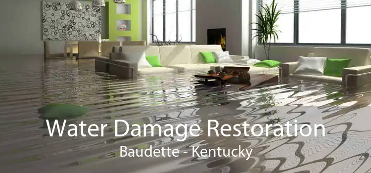 Water Damage Restoration Baudette - Kentucky