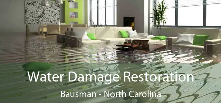 Water Damage Restoration Bausman - North Carolina