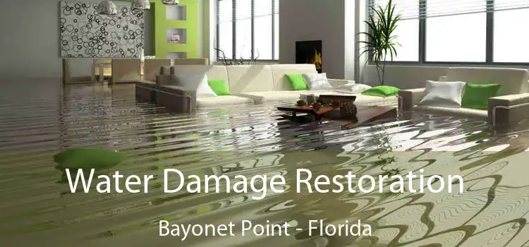 Water Damage Restoration Bayonet Point - Florida