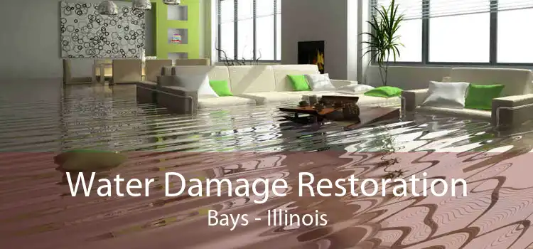 Water Damage Restoration Bays - Illinois