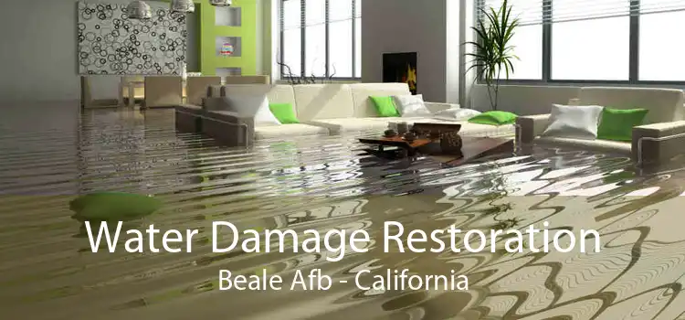 Water Damage Restoration Beale Afb - California