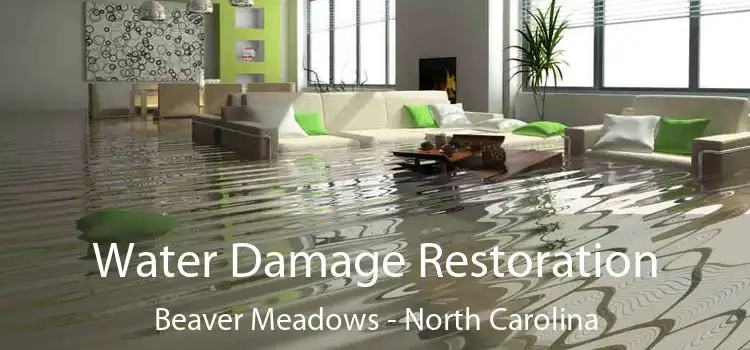 Water Damage Restoration Beaver Meadows - North Carolina