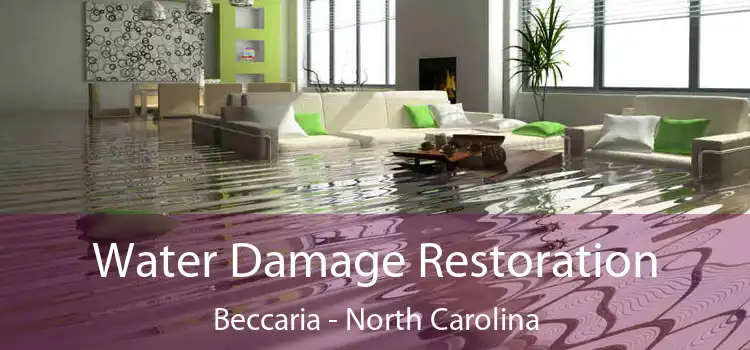 Water Damage Restoration Beccaria - North Carolina