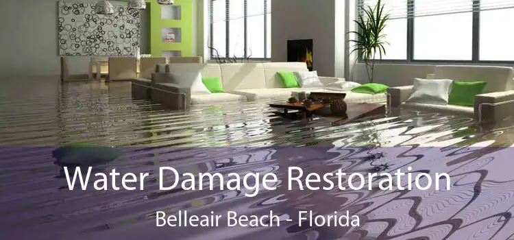 Water Damage Restoration Belleair Beach - Florida