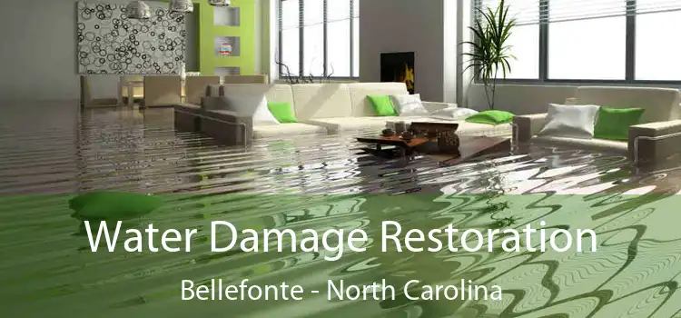 Water Damage Restoration Bellefonte - North Carolina