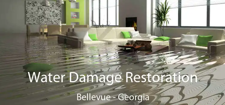 Water Damage Restoration Bellevue - Georgia