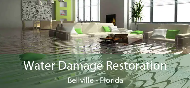 Water Damage Restoration Bellville - Florida