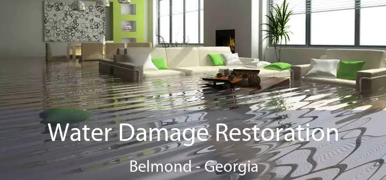 Water Damage Restoration Belmond - Georgia