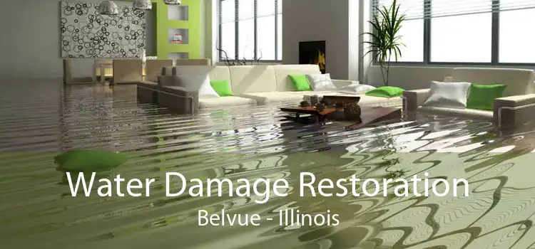 Water Damage Restoration Belvue - Illinois