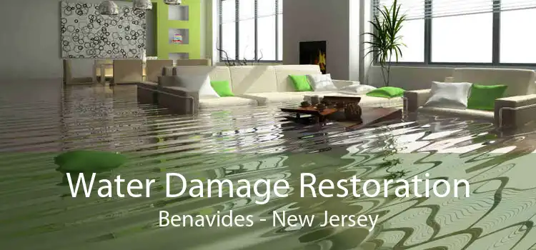 Water Damage Restoration Benavides - New Jersey
