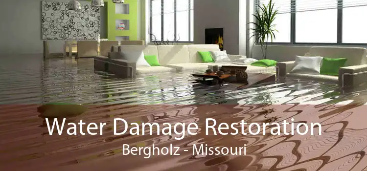 Water Damage Restoration Bergholz - Missouri