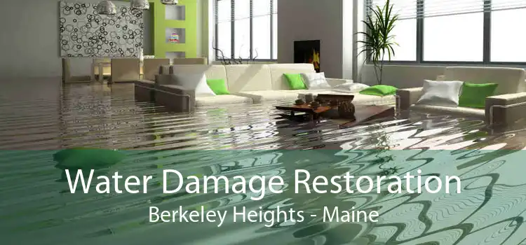 Water Damage Restoration Berkeley Heights - Maine