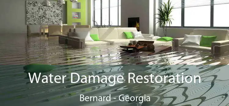 Water Damage Restoration Bernard - Georgia