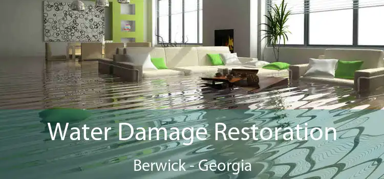 Water Damage Restoration Berwick - Georgia