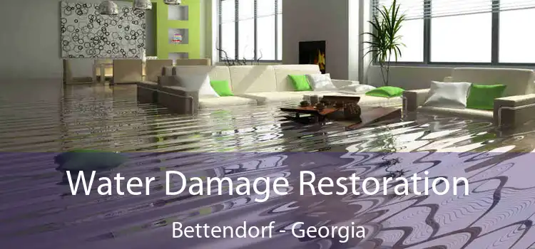 Water Damage Restoration Bettendorf - Georgia