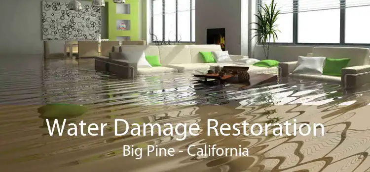 Water Damage Restoration Big Pine - California