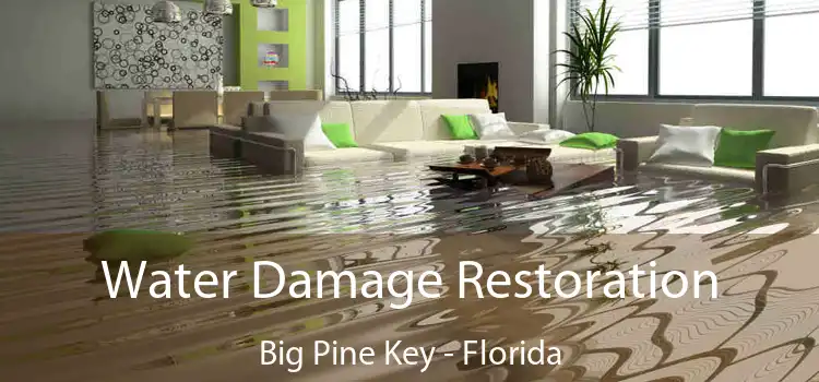 Water Damage Restoration Big Pine Key - Florida