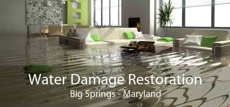 Water Damage Restoration Big Springs - Maryland