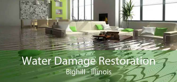 Water Damage Restoration Bighill - Illinois