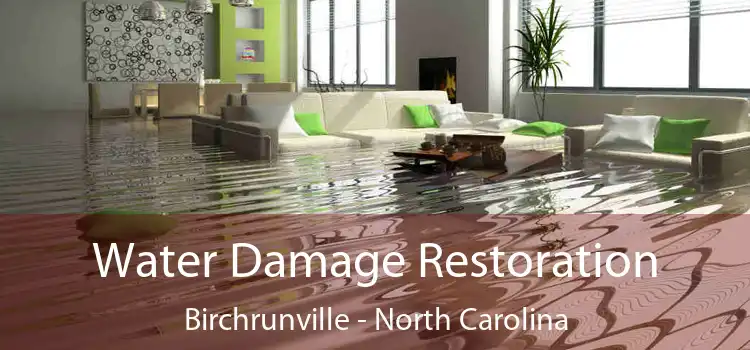 Water Damage Restoration Birchrunville - North Carolina