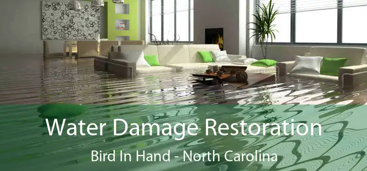 Water Damage Restoration Bird In Hand - North Carolina