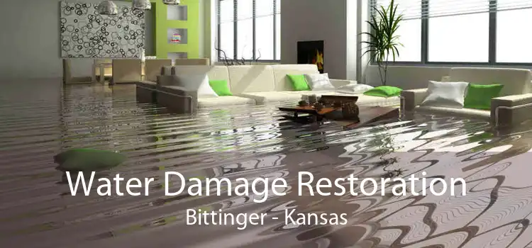 Water Damage Restoration Bittinger - Kansas