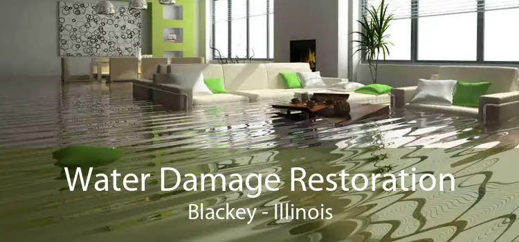 Water Damage Restoration Blackey - Illinois