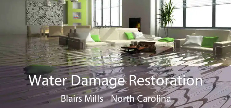 Water Damage Restoration Blairs Mills - North Carolina