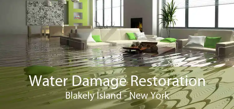 Water Damage Restoration Blakely Island - New York