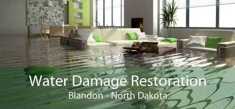 Water Damage Restoration Blandon - North Dakota