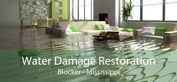 Water Damage Restoration Blocker - Mississippi