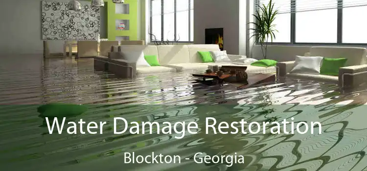 Water Damage Restoration Blockton - Georgia