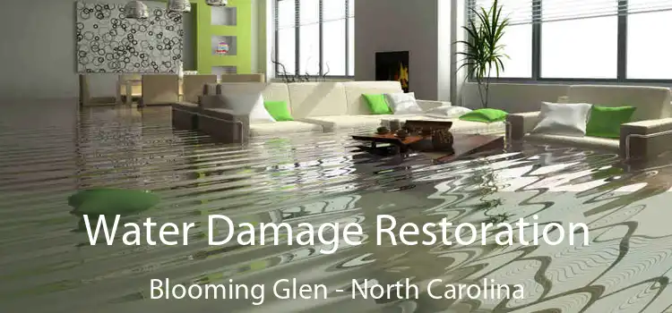 Water Damage Restoration Blooming Glen - North Carolina