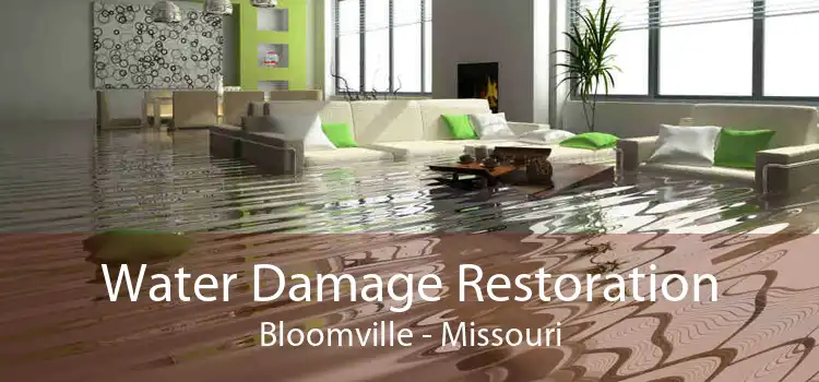 Water Damage Restoration Bloomville - Missouri