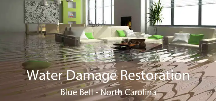 Water Damage Restoration Blue Bell - North Carolina