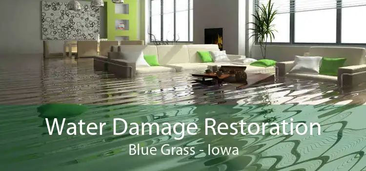 Water Damage Restoration Blue Grass - Iowa