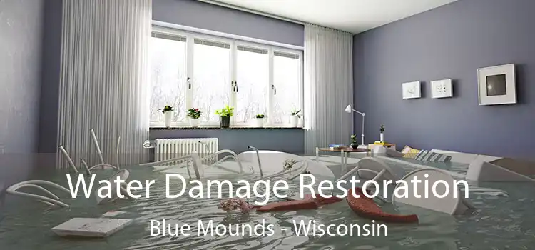 Water Damage Restoration Blue Mounds - Wisconsin