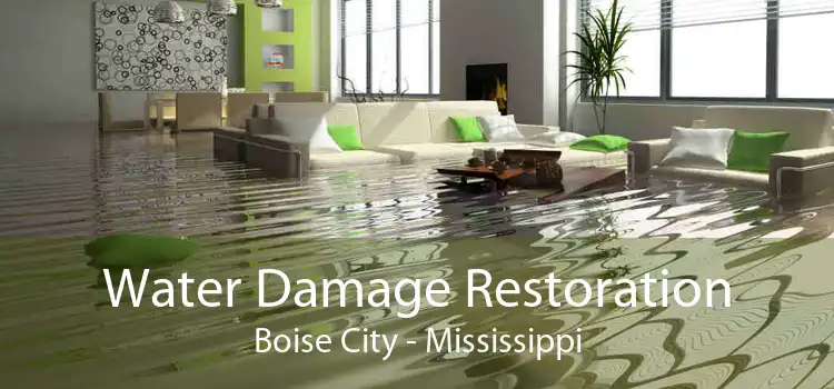 Water Damage Restoration Boise City - Mississippi