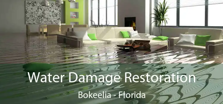 Water Damage Restoration Bokeelia - Florida