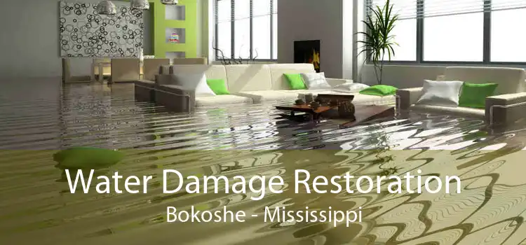 Water Damage Restoration Bokoshe - Mississippi