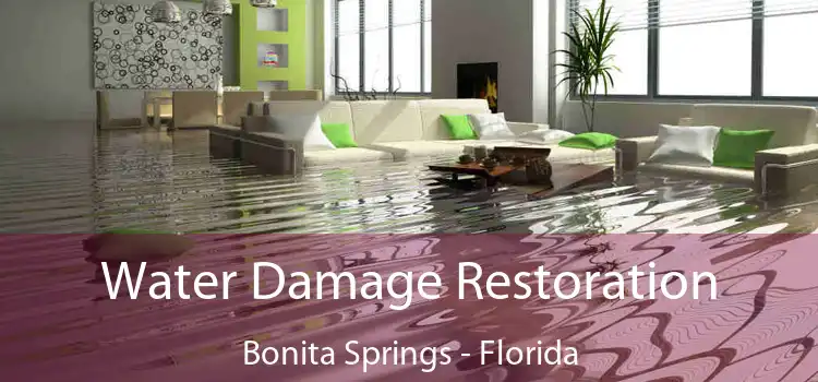 Water Damage Restoration Bonita Springs - Florida